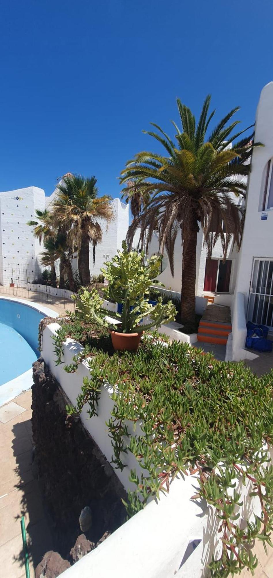 Wonderful White Appartament In Las Tortugas Playa de las Americas  Esterno foto